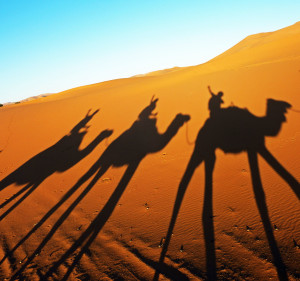 Morocco_Desert_Sahara