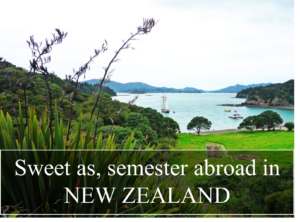 Study abroad New Zealand